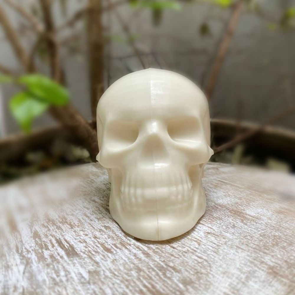 Medium Skull Mold (3 Piece)